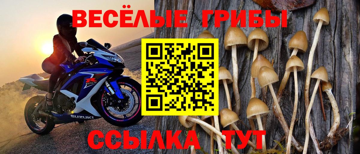Воркута  дарнет шоп  Вход с VPN  Псилоцибиновые грибы мухоморы 